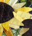 Cosmic Pumpkins (detail)